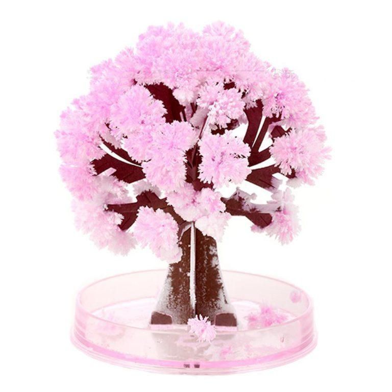 Magic Cherry Blossom Tree